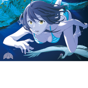 70路の高齢熟女セックス101
