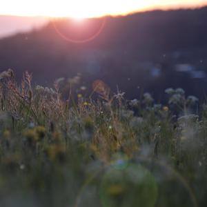 70路の高齢熟女セックス101
