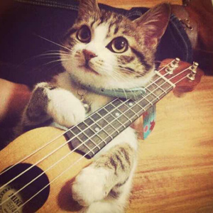 70路の高齢熟女セックス101
